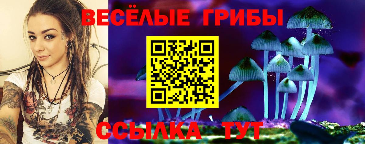 Магадан  Галлюциногенные грибы MAGIC MUSHROOMS  Вход с VPN 